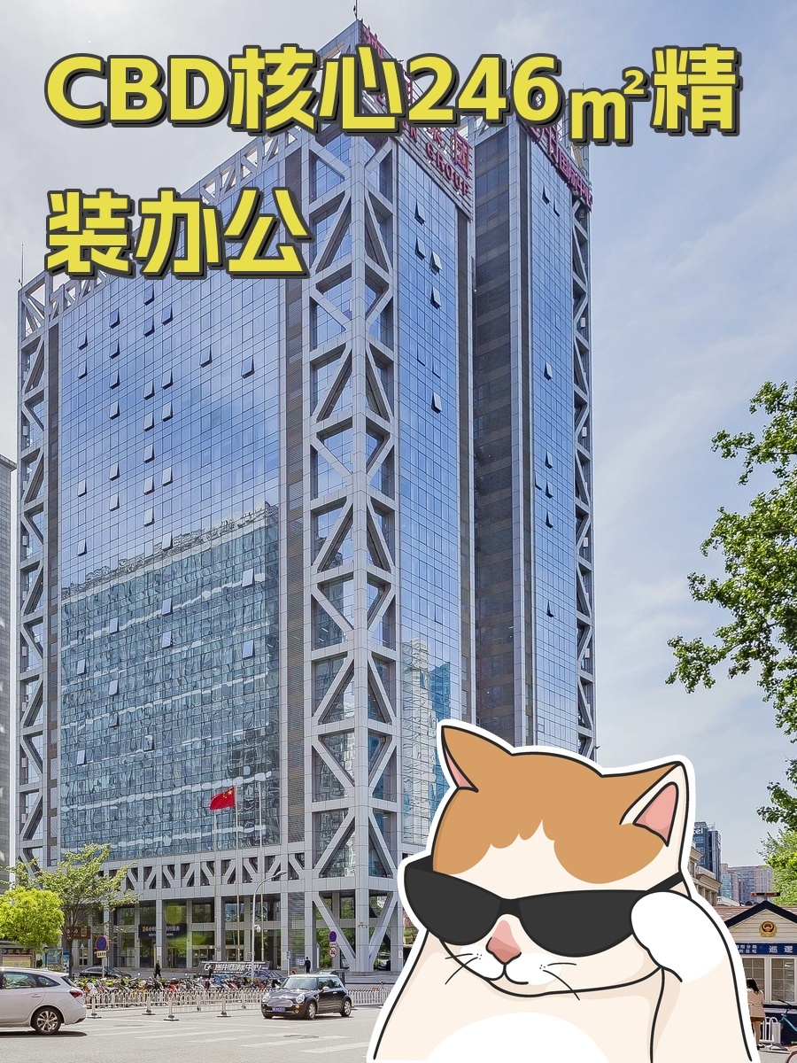 通用国际中心246平 精装带家具