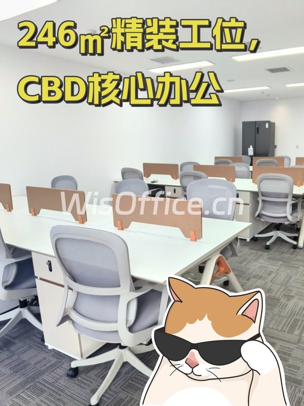 246㎡精装工位，CBD核心办公 - 首图