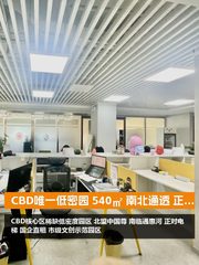 CBD唯一低密园 540㎡ 南北通透 正对电梯 - 缩略图 1