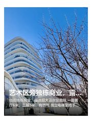 艺术区旁独栋商业，露台庭院直接拉满 - 缩略图 1