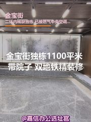 金宝街独栋1100平米 双地铁精装修 - 缩略图 1