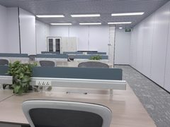 真房｜金澳国际 |159平｜地铁环绕 - 缩略图 5