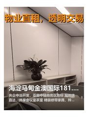 海淀马甸金澳国际181.8平精装带家具 - 缩略图 1