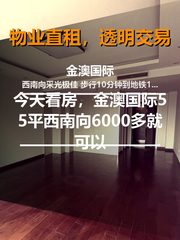 今天看房，金澳国际55平西南向 - 缩略图 1