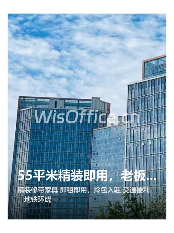 55平米精装即用，老板最爱！ - 首图