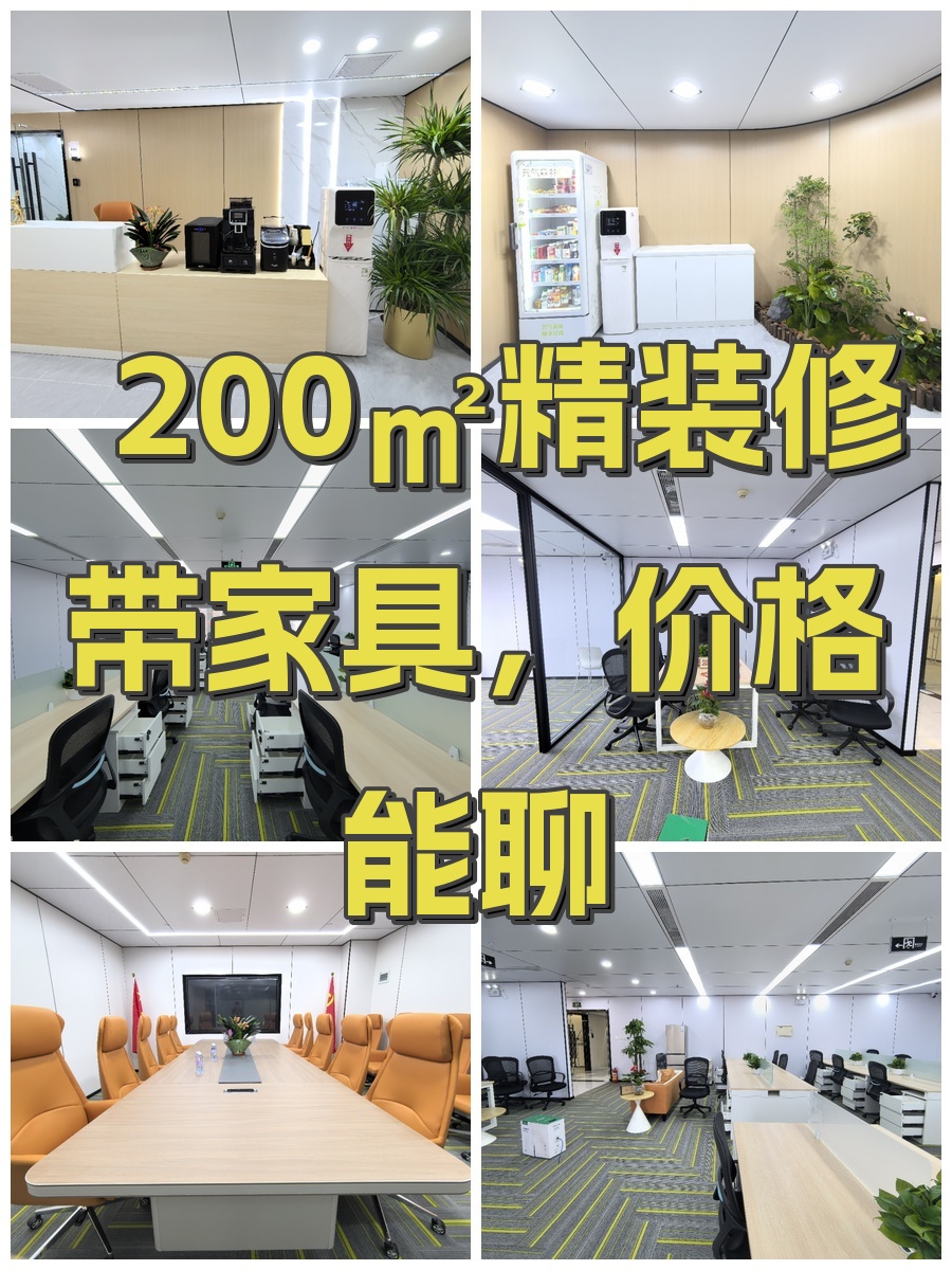 200㎡精装修带家具，价格能聊