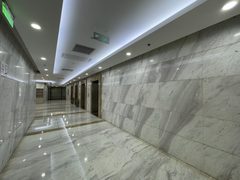 金澳国际 | 310平 | 47800 | 西北朝向 - 缩略图 31