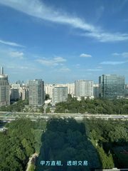 办公室选址中，我好喜欢金澳国际的落地窗 - 缩略图 6