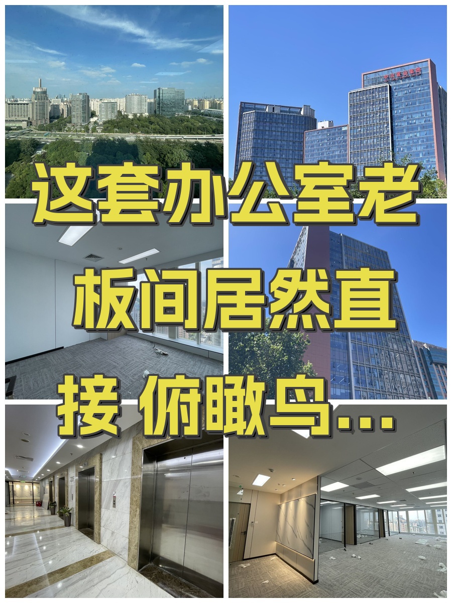 办公室选址中，我好喜欢金澳国际的落地窗