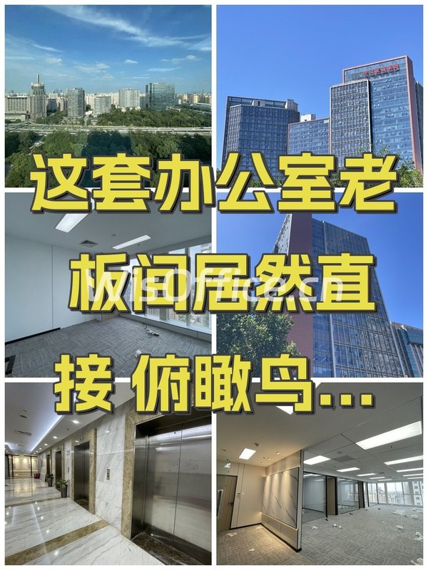 办公室选址中，我好喜欢金澳国际的落地窗 - 首图