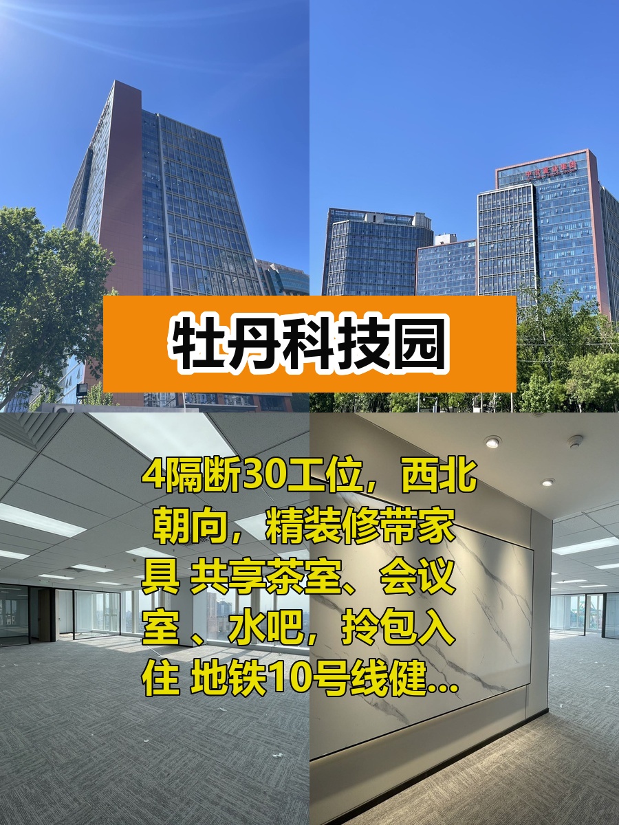 办公室选址中，我好喜欢金澳国际的落地窗
