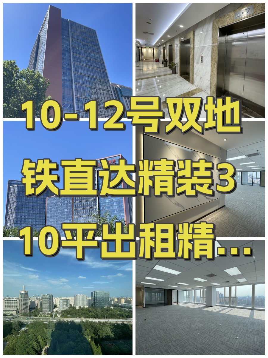 办公室选址中，我好喜欢金澳国际的落地窗