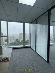 真房｜金澳国际 |455平｜整层｜拎包入住 - 缩略图 3