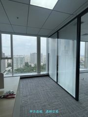 真房｜金澳国际 |455平｜整层｜朝北视野 - 缩略图 2