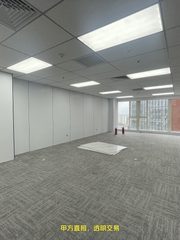 真房｜金澳国际 |188平｜精装拎包｜地铁三站 - 缩略图 4