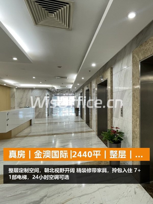 真房｜金澳国际 |2440平｜整层｜朝北视野 - 首图