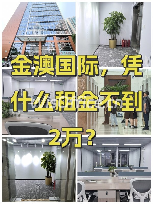 金澳国际，凭什么租金不到2万？ - 首图