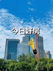 金澳国际78平东南向，双地铁 - 缩略图 1