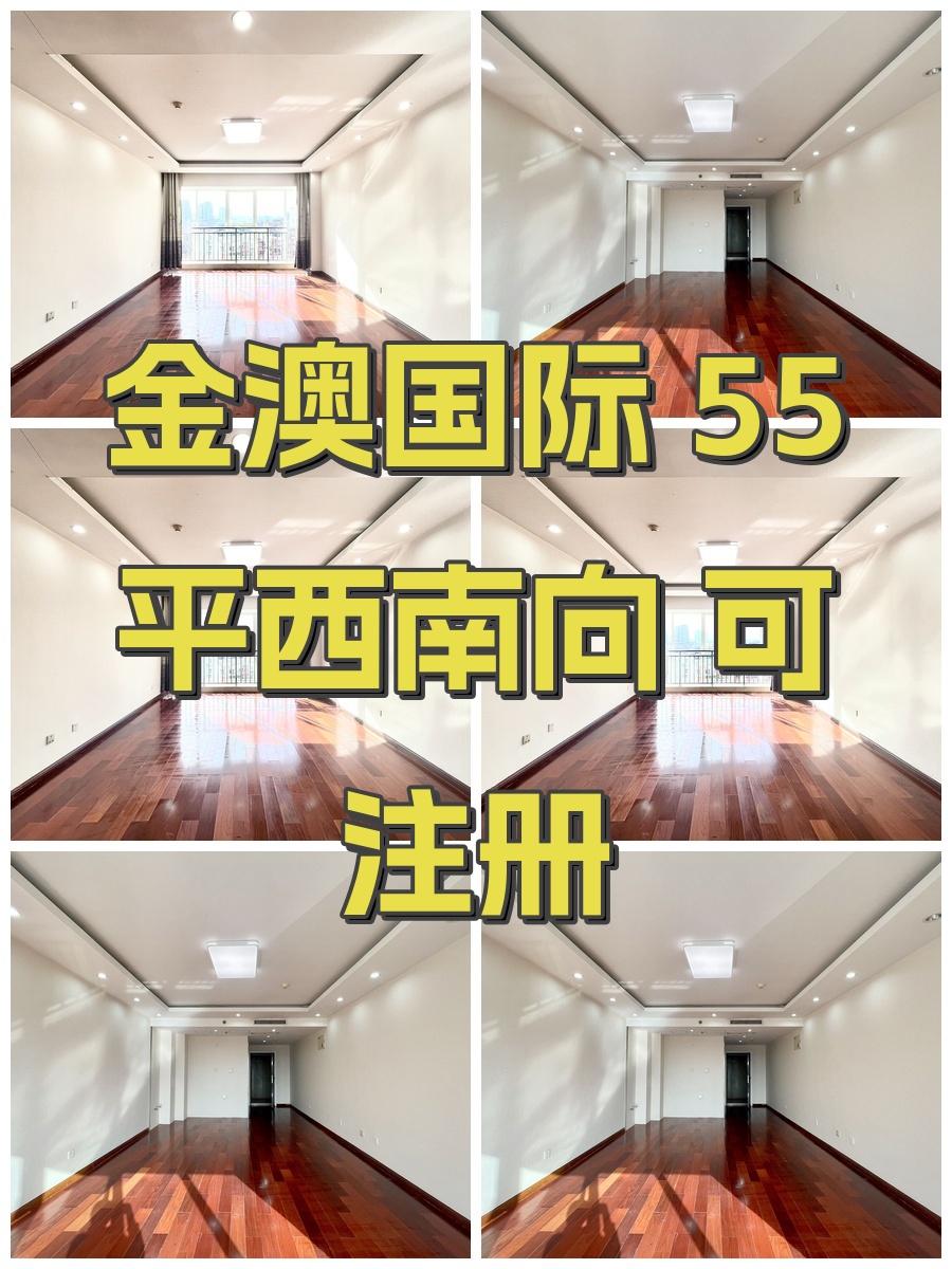 金澳国际 55平西南向 可注册
