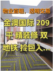 金澳国际 209平 精装修 双地铁 拎包入住 - 缩略图 1