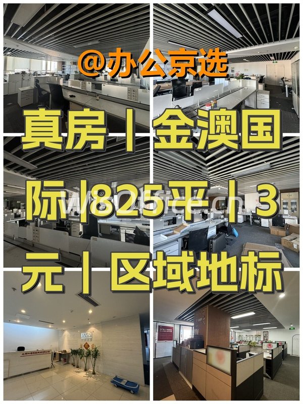 真房｜金澳国际 |825平｜3元｜区域地标 - 首图