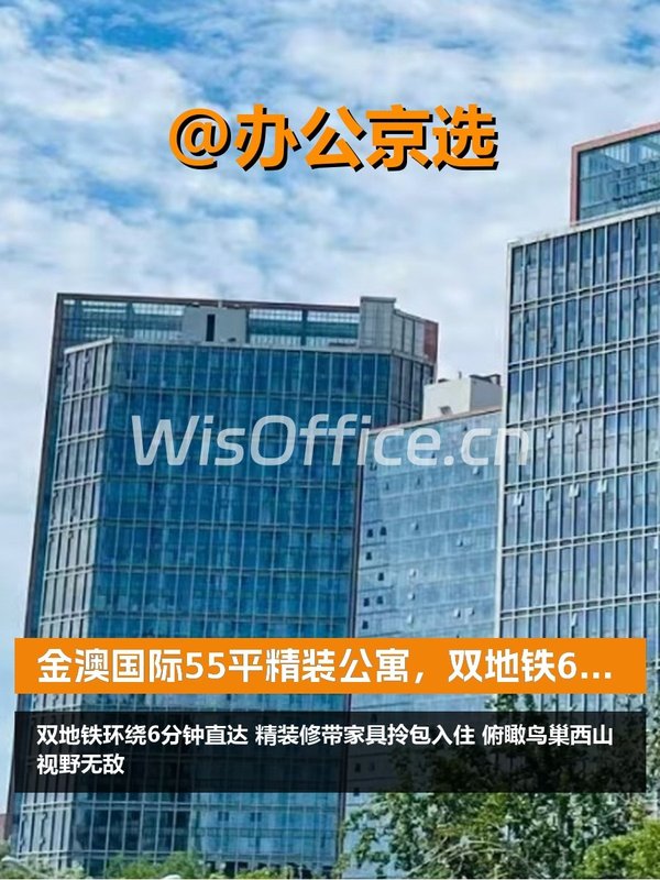 金澳国际55平精装公寓，双地铁6分钟 - 首图