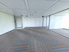 今天看了金澳国际大厦，209平采光太赞 - 缩略图 7