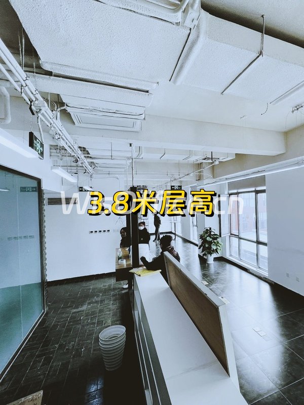 影视产业园独栋办公，层高3.8米 - 首图