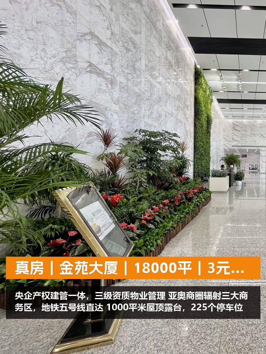 真房｜金苑大厦｜18000平｜3元｜央企产权盘