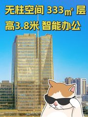 无柱空间 333㎡ 层高3.8米 智能办公 - 缩略图 1