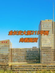 金长安大厦215平西向看国贸 - 缩略图 1