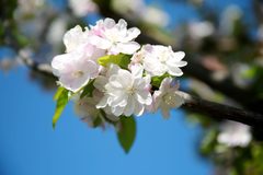 推荐锋创科技园2234平独栋，毗邻京东总部 - 缩略图 4