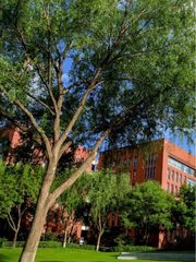 亦庄核心 2219㎡ 6层独栋 一栋楼搞定研发办公生产 - 缩略图 1