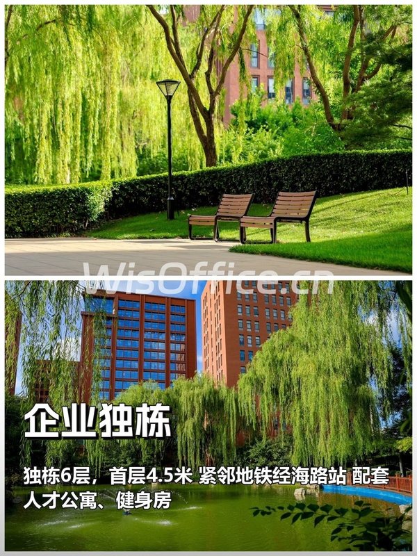 老板看完，直接拍板 - 首图