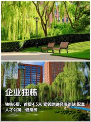 老板看完，直接拍板 - 缩略图 1