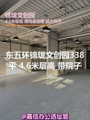 锦珑文创园 | 4.6米层高 | 南向落地窗？ - 缩略图 1
