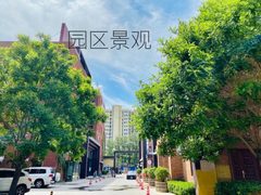 锦珑文创园5106 338㎡ 南向落地窗 超大院子 - 缩略图 8