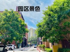 锦珑文创园5106 338㎡ 南向落地窗 超大院子 - 缩略图 8