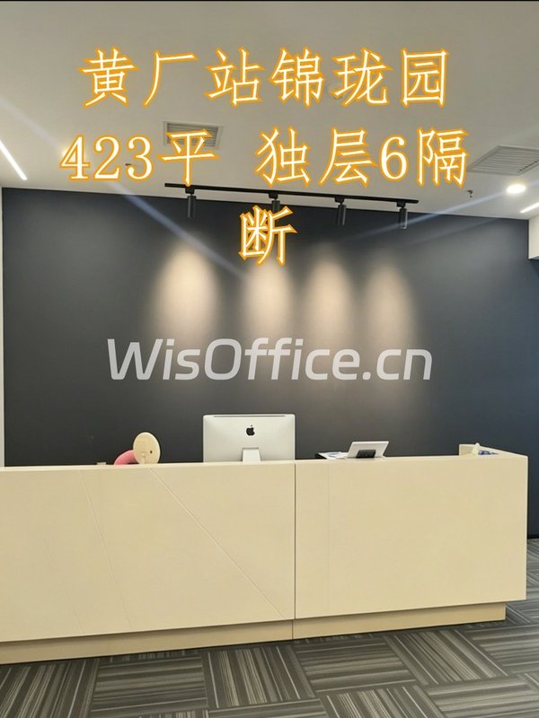 黄厂站锦珑园423平 独层6隔断 - 首图