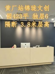 黄厂站锦珑文创园423平 独层6隔断 3.8米层高 - 缩略图 1