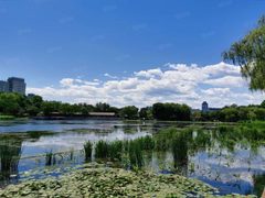 西城区这个亲水宝地租金低至午餐价 - 缩略图 2