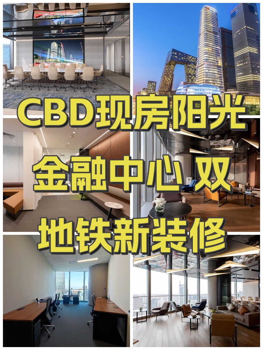 CBD现房阳光金融中心 双地铁新装修