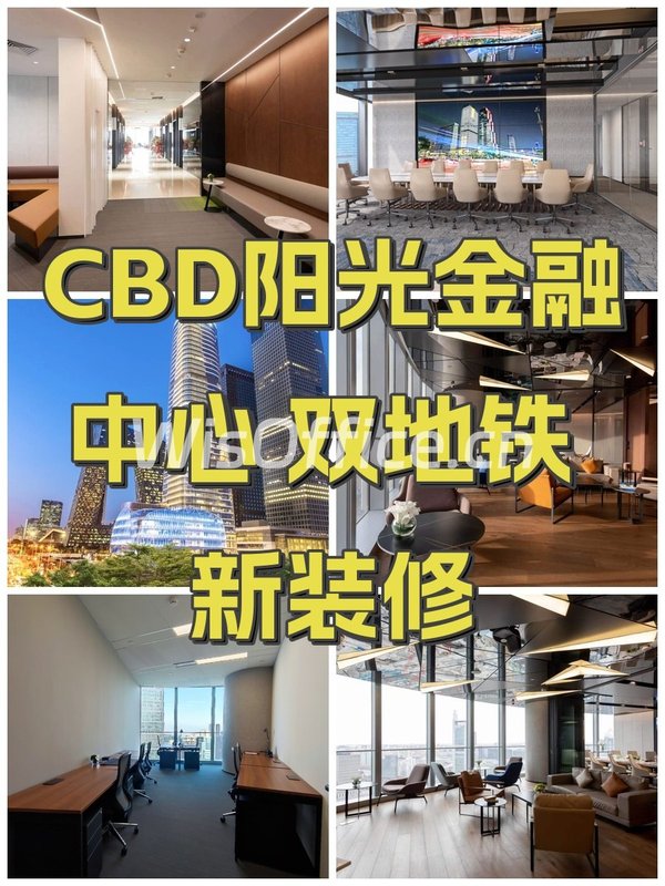 CBD阳光金融中心 双地铁 新装修 - 首图