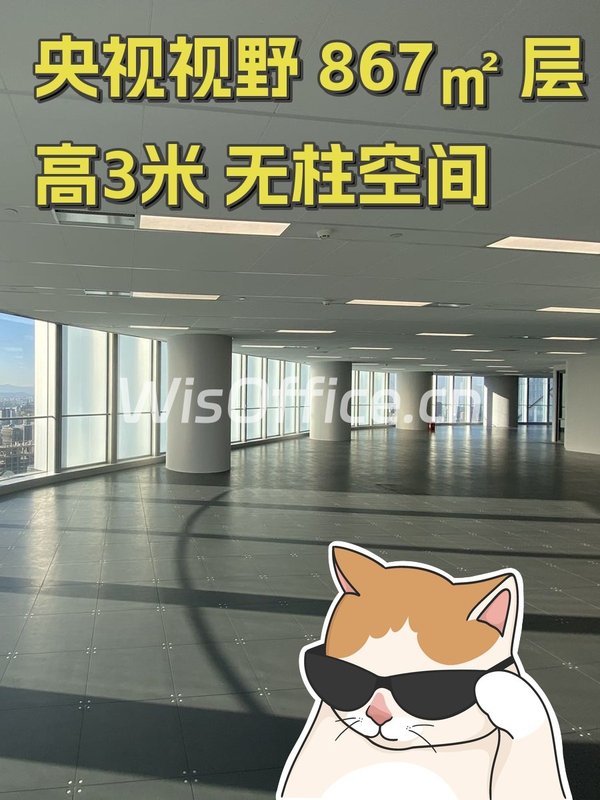 央视视野 867㎡ 层高3米 无柱空间 - 首图