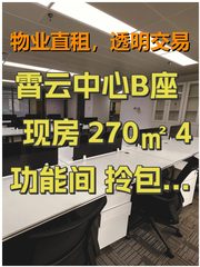 霄云中心B座 现房 270㎡ 4功能间 拎包办公 - 缩略图 1