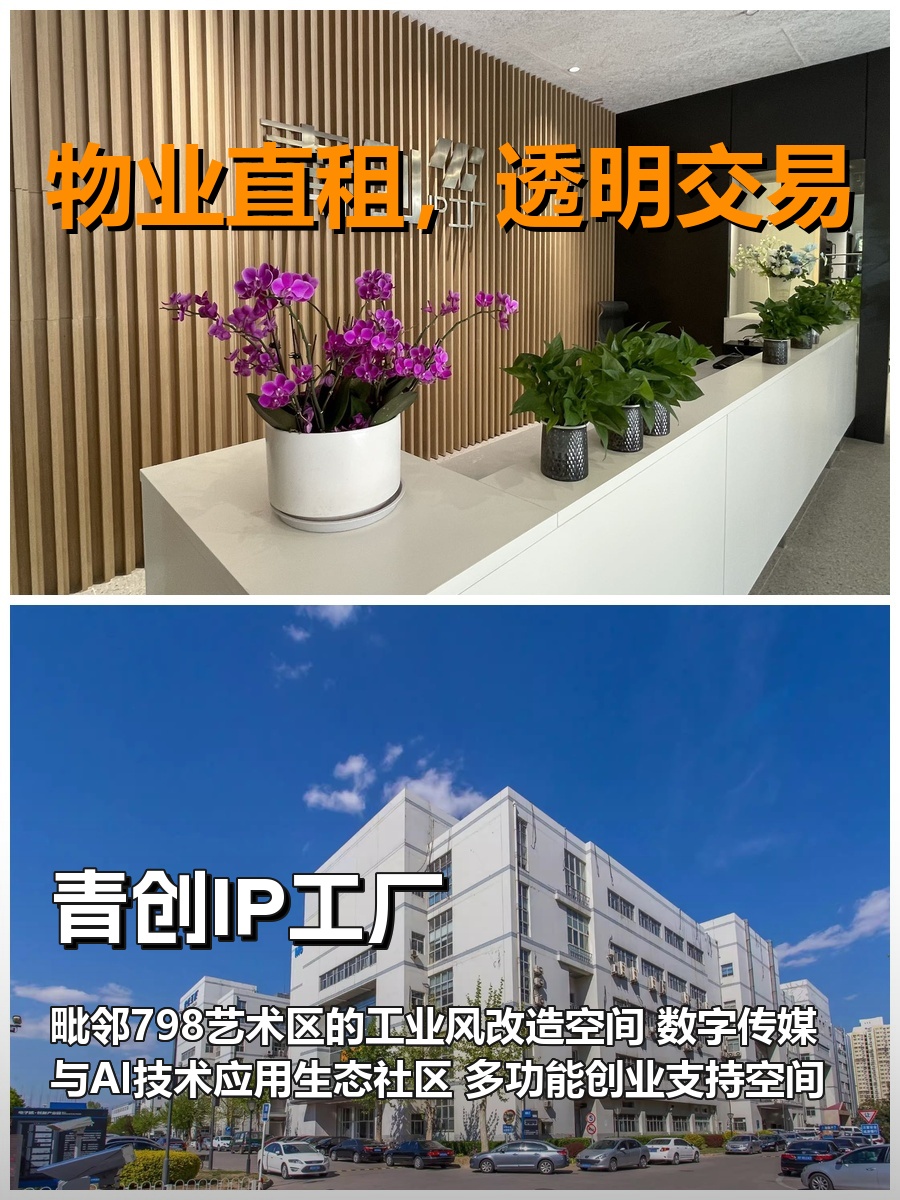 真房｜青创IP工厂｜2000平｜1600｜这算不算理想办公地？