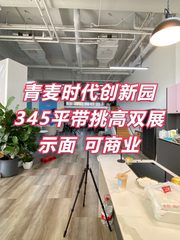 青麦时代创新园345平一楼带挑高西南双面 - 缩略图 1