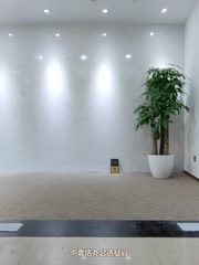 国贸CBD现房 252平 东北向 4隔断 - 缩略图 10