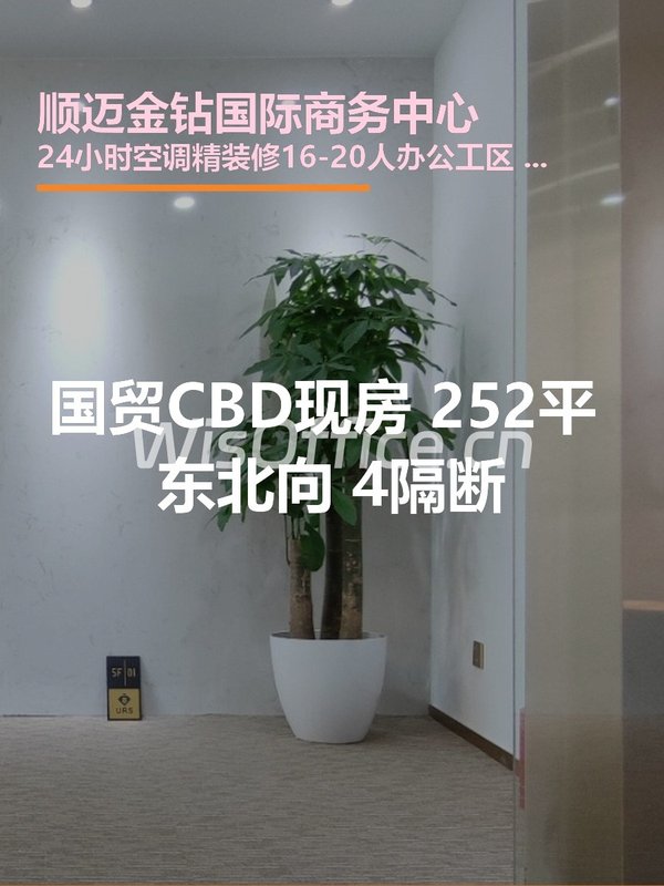 国贸CBD现房 252平 东北向 4隔断 - 首图