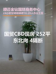 国贸CBD现房 252平 东北向 4隔断 - 缩略图 1